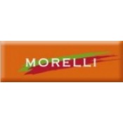Ручки MORELLI